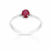 L 104 ANELLO COLORE 1 BT 5X4 LIGHT - immagine 4