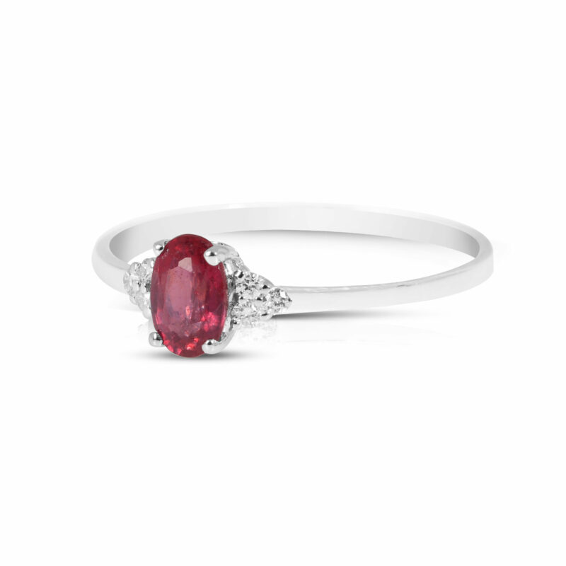 57 ANELLI COLORE 3 BT - immagine 3
